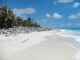 Playacar