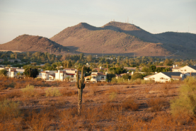 Phoenix