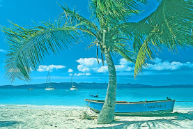 Caraibi