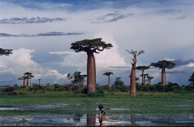 Antananarivo