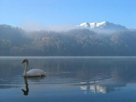 Folgaria
