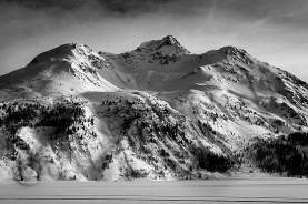 Engadina