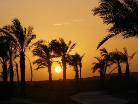 EL ALAMEIN