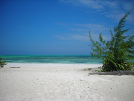 Zanzibar
