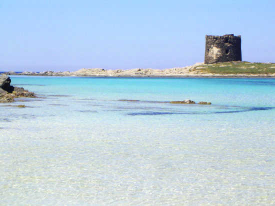 STINTINO