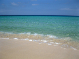 Fuerteventura