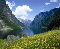 NORVEGIA