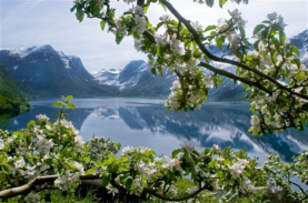 NORVEGIA
