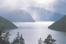 NORVEGIA