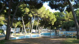 Maiorca