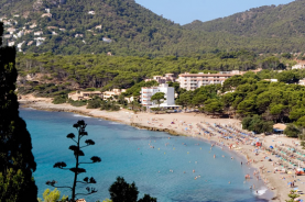 Maiorca