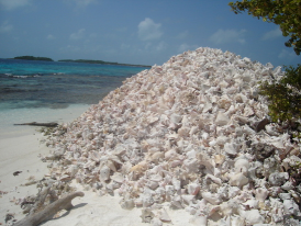 Los Roques