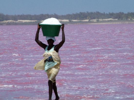 SENEGAL