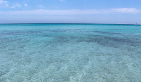 Torre Mozza
