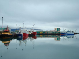 Reykjavik