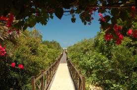 Cayo Ensenachos