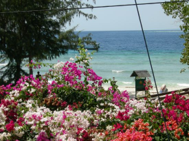 Lombok