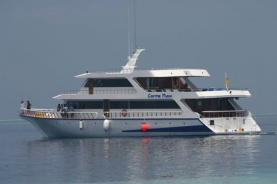 Maldive