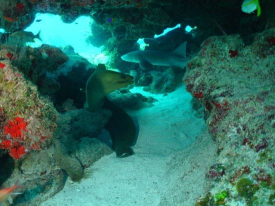Cayo Largo