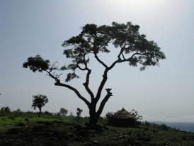 BAMAKO