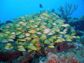Cayo Largo