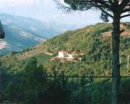 Rutino