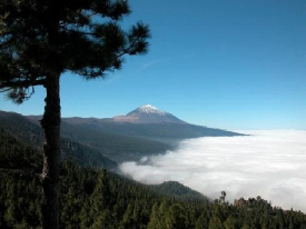 Tenerife